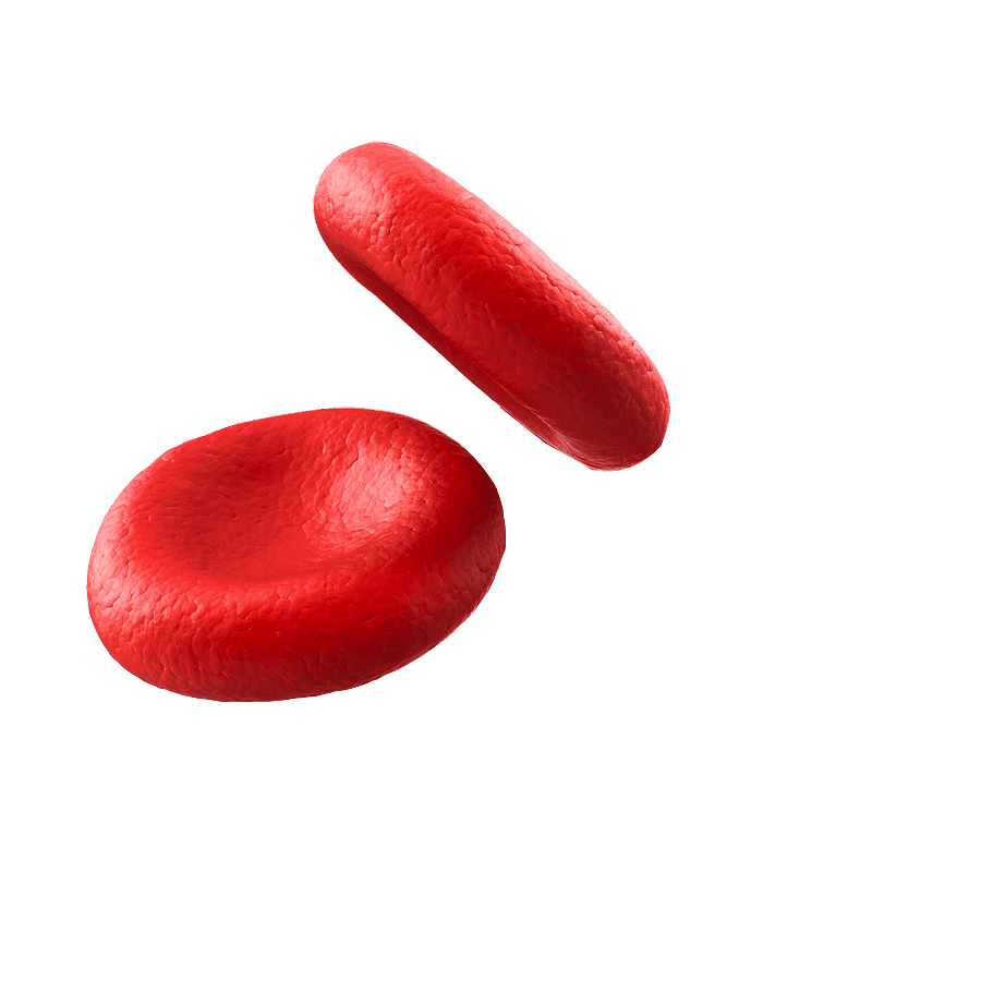 globules drepanocytose red surface